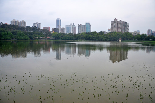 城市生态公园