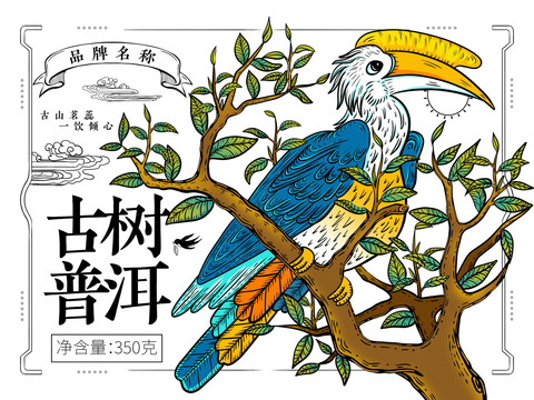 云南古樹普犀鳥茶葉包裝插畫