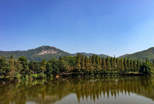 黄山狮子峰