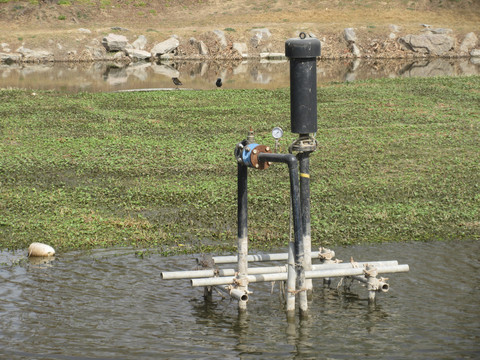 湖水净化装置