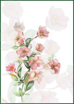 手繪桃花