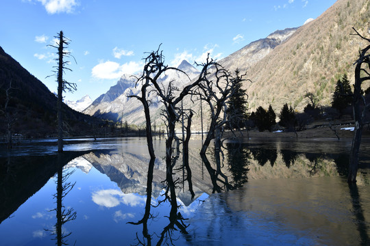 高山湖泊