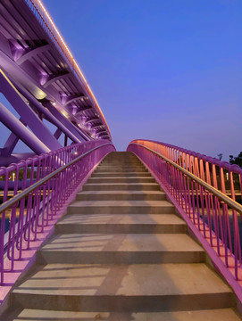 双流空港紫色大桥