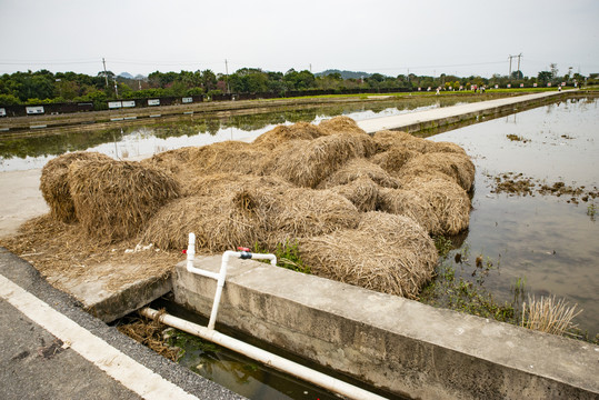 稻草堆