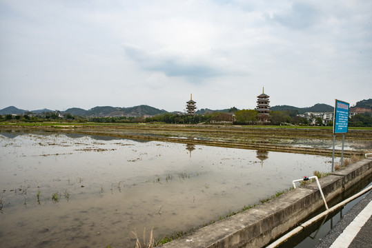 水田