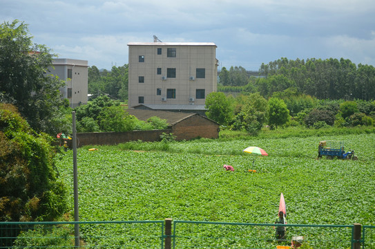 山区农村