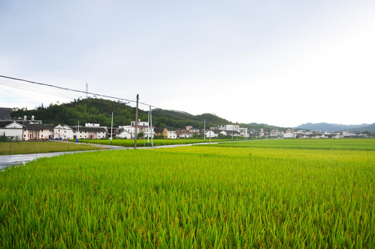 山区农村