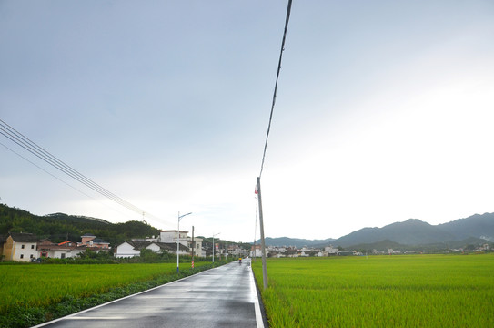 乡村道路