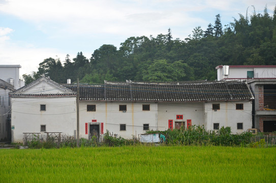 山區農村老屋