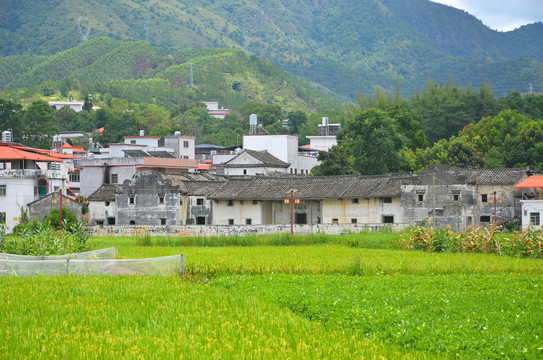農村老屋