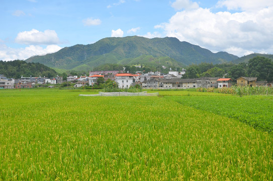 山区农村