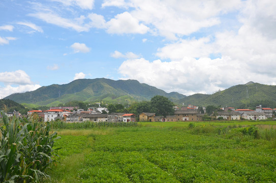 山区农村