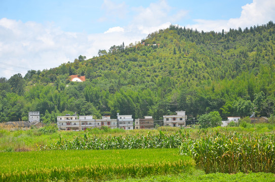 山区房屋