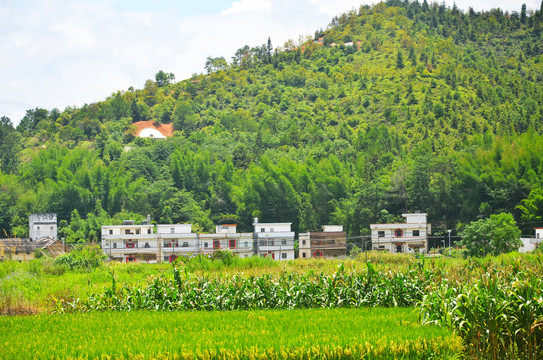 山区农村房屋