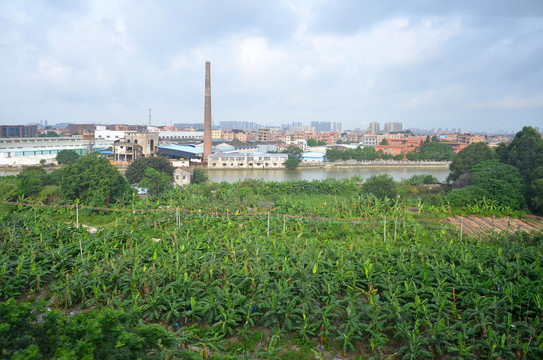 广东东莞农村