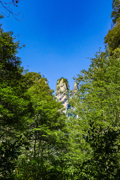 湖南张家界风景区