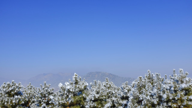 塞罕坝的雪