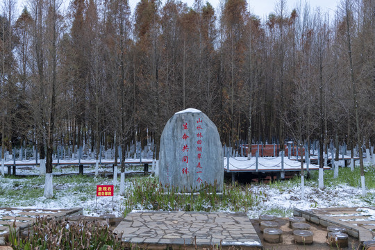 滇池湿地雪景