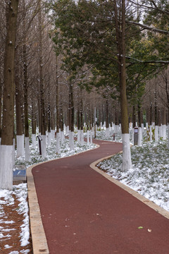 滇池湿地雪景