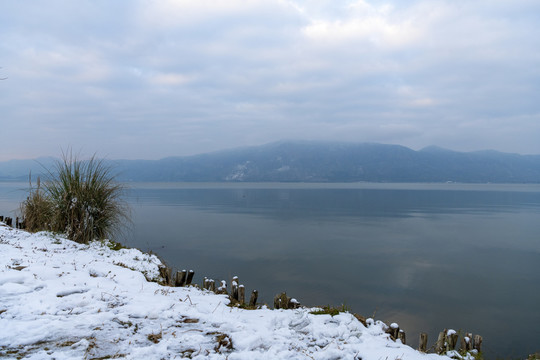 滇池湿地雪景