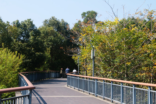 金雞山公園