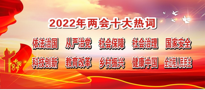 2022两会十大热词