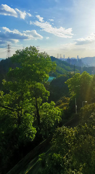 山谷里的风景