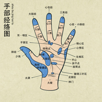 手部經(jīng)絡(luò)穴位圖