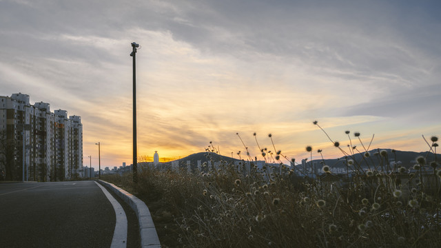 夕阳写意微风枯草