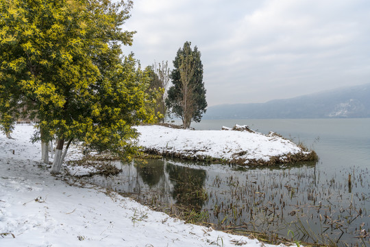 滇池湿地雪景