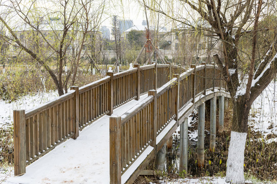 滇池湿地雪景