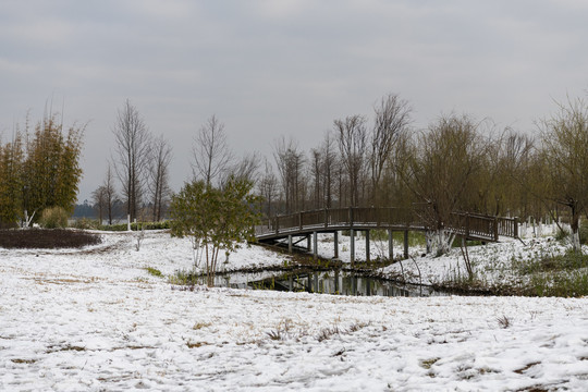 滇池湿地雪景