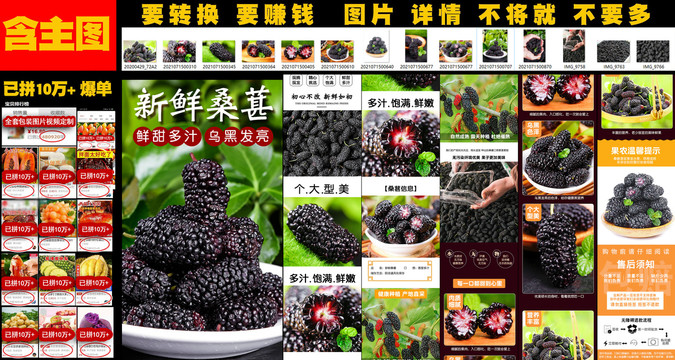 新鮮桑葚詳情