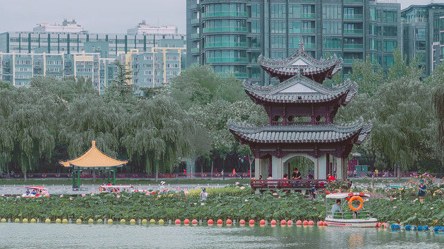 北京陶然亭公园夏日公园风光