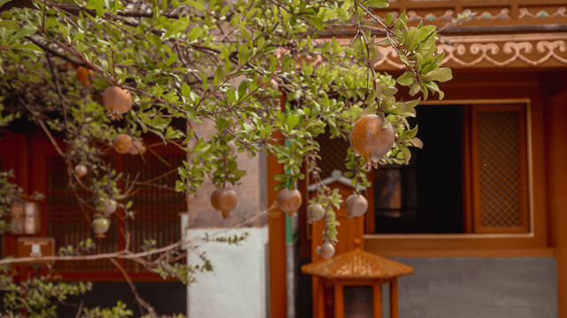 明清皇家建筑北京雍和宫寺庙