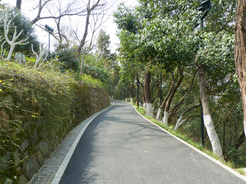 泊油路