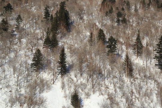 雪景山丘图片