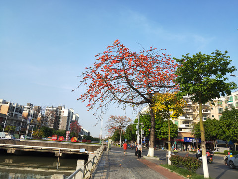 绿道步道人行道