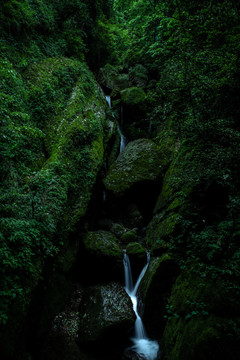 青城山后山