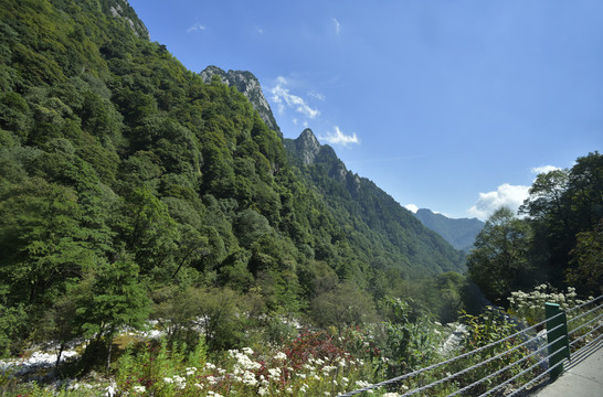 秦岭主峰太白山