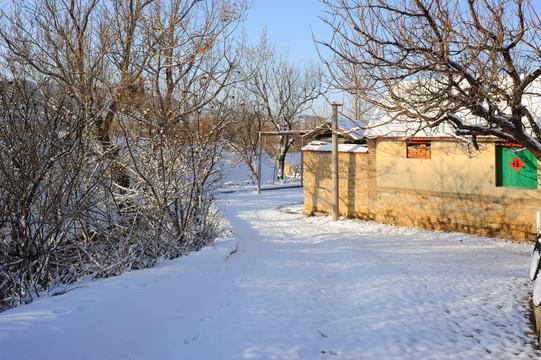 美丽的乡村雪景