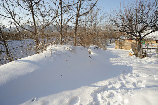 村里下大雪