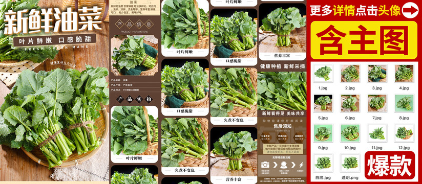 油菜詳情