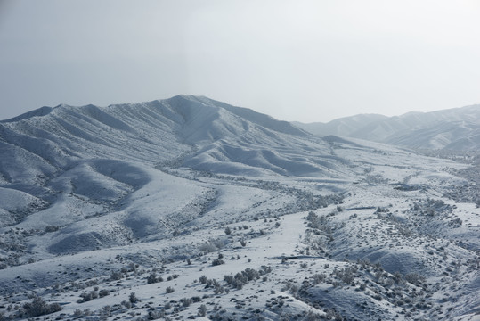 天山山野