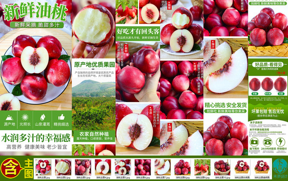 油桃詳情頁澳洲油桃詳情主圖