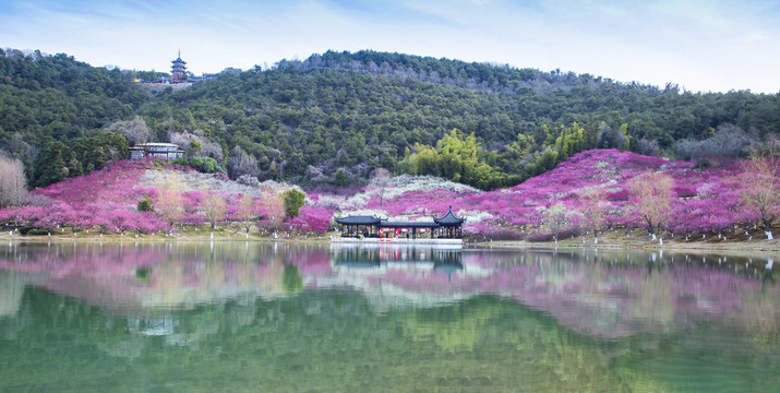 张家港香山梅岭