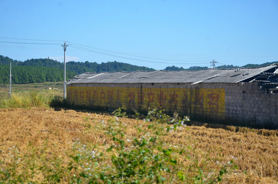 贫困山区