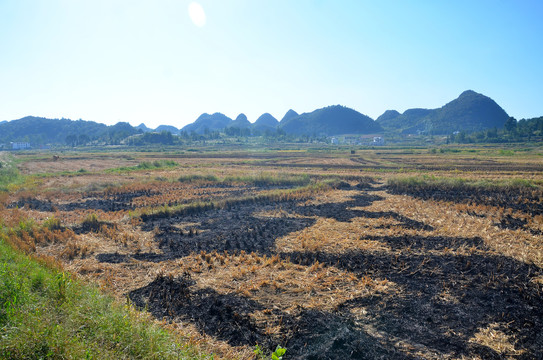 山区农村稻田