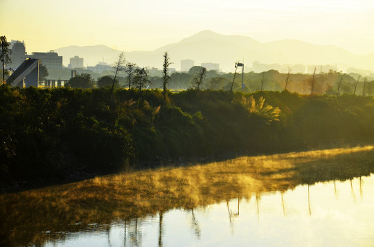 早晨河流阳光