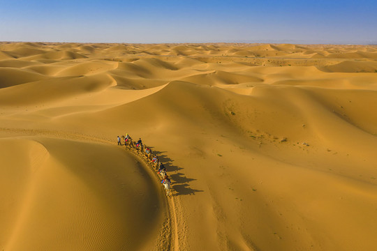 俯瞰沙漠骆驼队图片